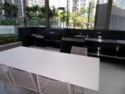 Skysuites@Anson (D2), Apartment #541587851